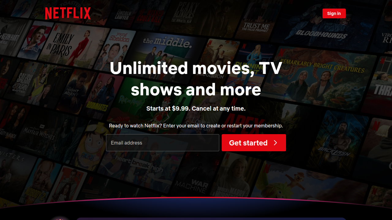 Netflix's expansive content library showcases the vast array of choices available to streamers.